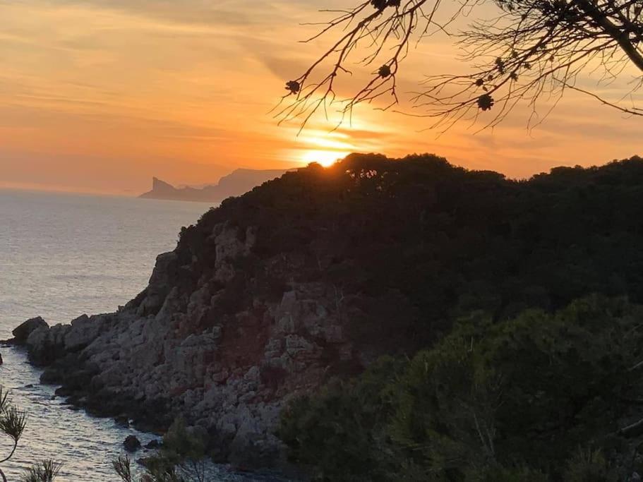 Athena Ohana, Les Pieds Dans L'Eau Bandol Buitenkant foto
